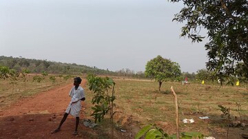 Plot Area in  Plot at Thummapala – for Sale