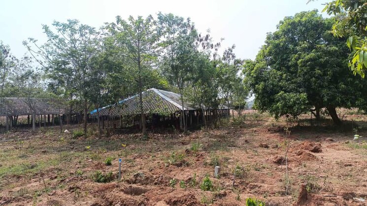 undefined, thummapala  170 Sq.Yd. Plot In Thummapala Anakapalle 9791929