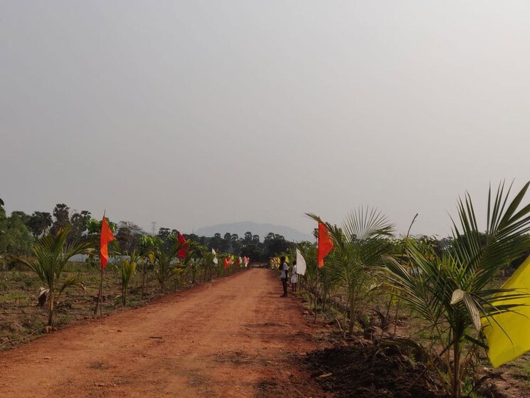 undefined, thummapala  178 Sq.Yd. Plot In Thummapala Anakapalle 9791933