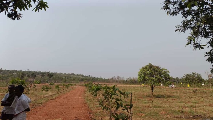 undefined, thummapala  186 Sq.Yd. Plot In Thummapala Anakapalle 9791935