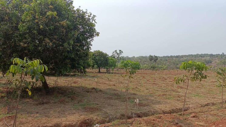 undefined, thummapala  186 Sq.Yd. Plot In Thummapala Anakapalle 9791935