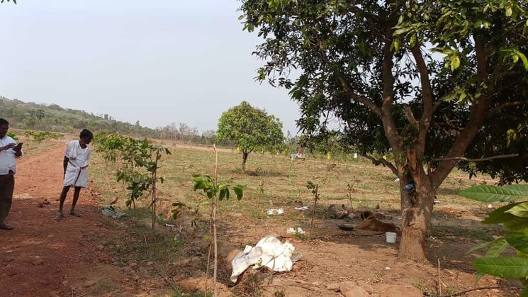 undefined, thummapala  190 Sq.Yd. Plot In Thummapala Anakapalle 9791936