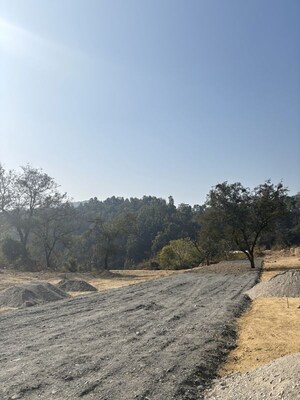 Plot Area in  Plot at Bhagwantpur – for Sale