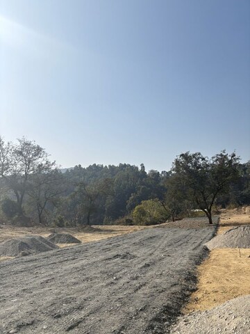 Plot Area in  Plot at Bhagwantpur – for Sale