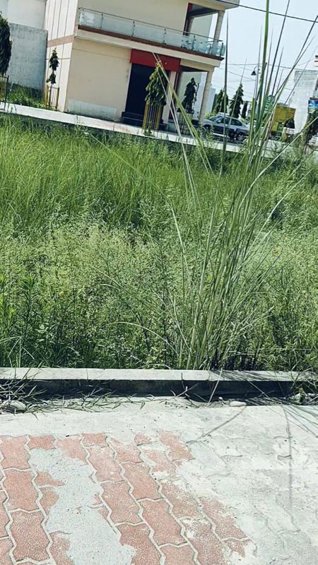 Plot For Sale in Patanjali Phase 1