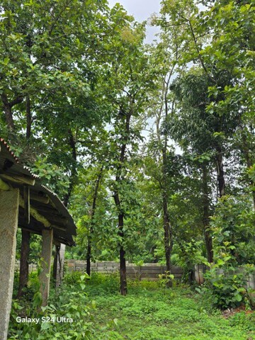 Plot Area in  Plot at Gandhi Ward – for Sale