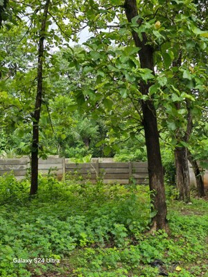 Plot Area in  Plot at Gandhi Ward – for Sale