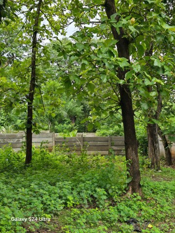 Plot Area in  Plot at Gandhi Ward – for Sale