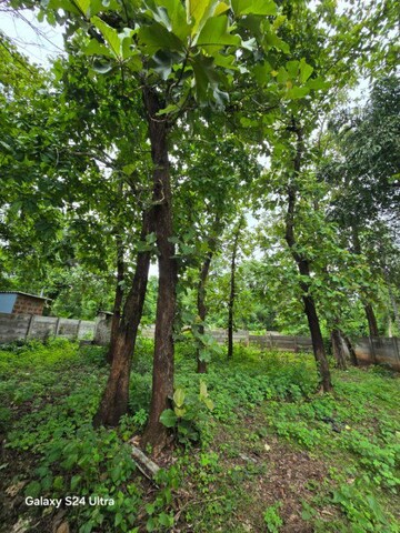 Plot Area in  Plot at Gandhi Ward – for Sale