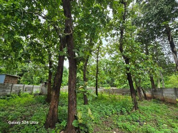 Plot Area in  Plot at Gandhi Ward – for Sale