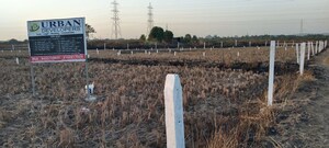 Plot Area in  Plot at Ranjanpada – for Sale