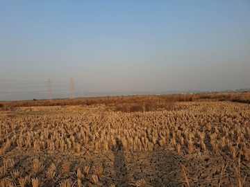 Plot Area in  Plot at Ranjanpada – for Sale