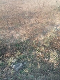 Plot For Sale in BPTP Parklands