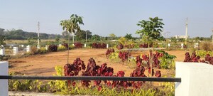  Plot – Garden View at JJR Orchard, Kadthal - for Sale