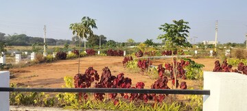  Plot – Garden View at JJR Orchard, Kadthal - for Sale