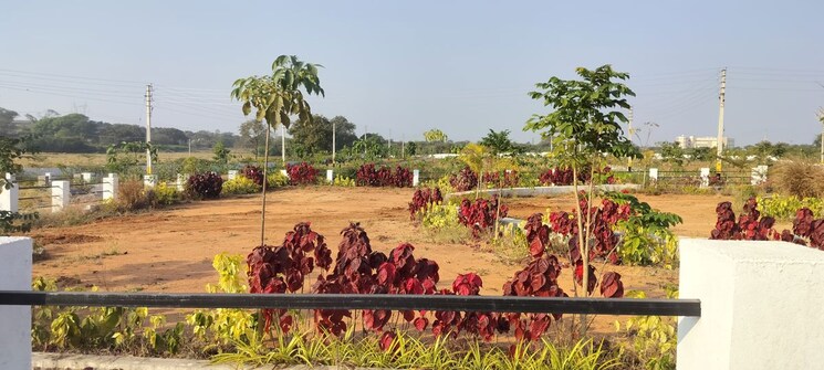 Garden, jjr-orchard  150 Sq.Yd. Plot In Kadthal Hyderabad 9792650