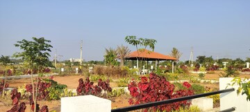  Plot – Garden View at JJR Orchard, Kadthal - for Sale