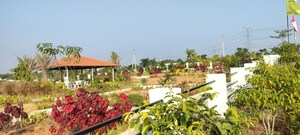  Plot – Exterior View View at JJR Orchard, Kadthal - for Sale