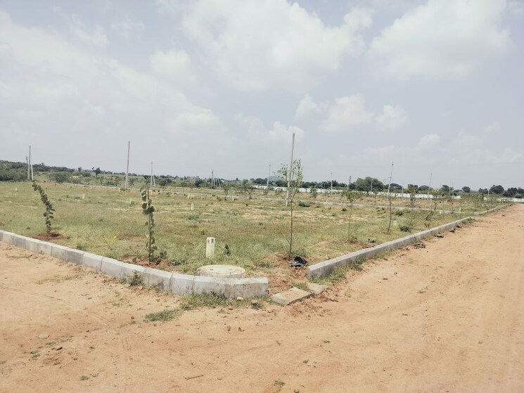 undefined, shadnagar  150 Sq.Yd. Plot In Shadnagar Hyderabad 9793087