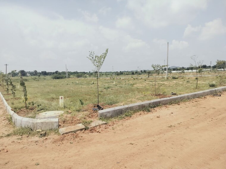 undefined, shadnagar  150 Sq.Yd. Plot In Shadnagar Hyderabad 9793087
