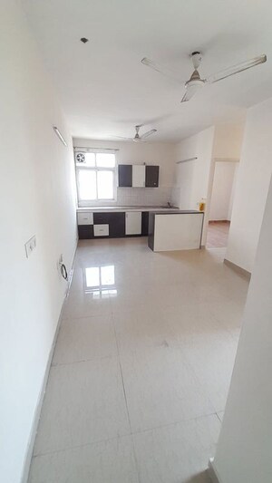 Kitchen in 2 BHK Apartment at Tulip Lemon, Sector 69 – for Rent