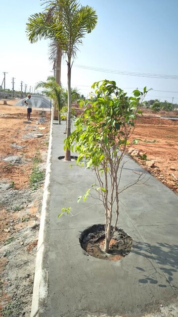  Plot – Exterior View View at Mangalpalle - for Sale