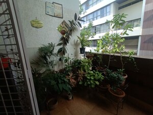 Balcony in 3 BHK Apartment at Peace N Joy Apartment, Shivajinagar – for Rent