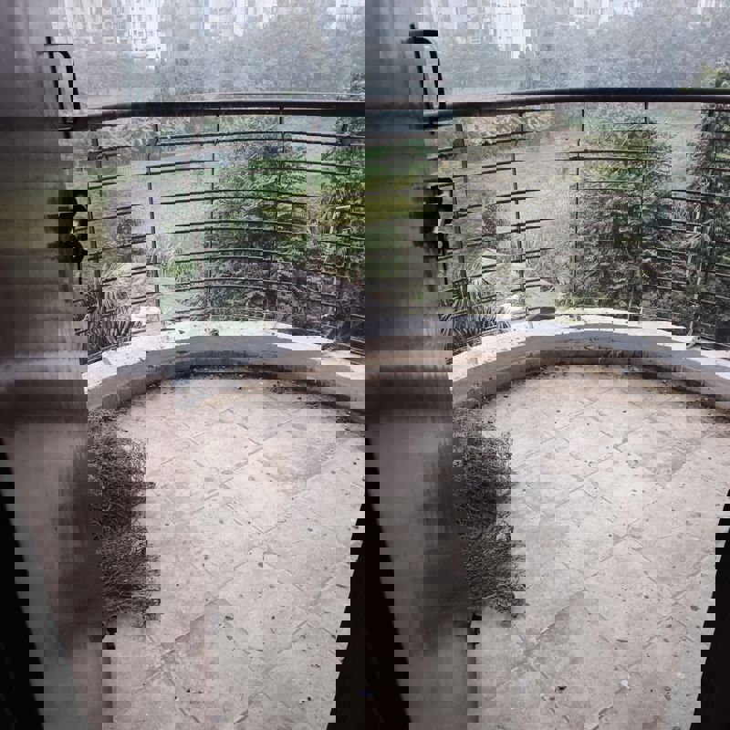 2 BHK + Pooja Room 1100 Sq.Ft. Apartment in Omaxe Heights