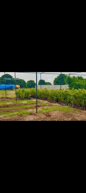  Plot – Garden View at Aduri Golden Heights, Shadnagar - for Sale