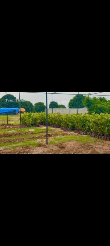  Plot – Garden View at Aduri Golden Heights, Shadnagar - for Sale