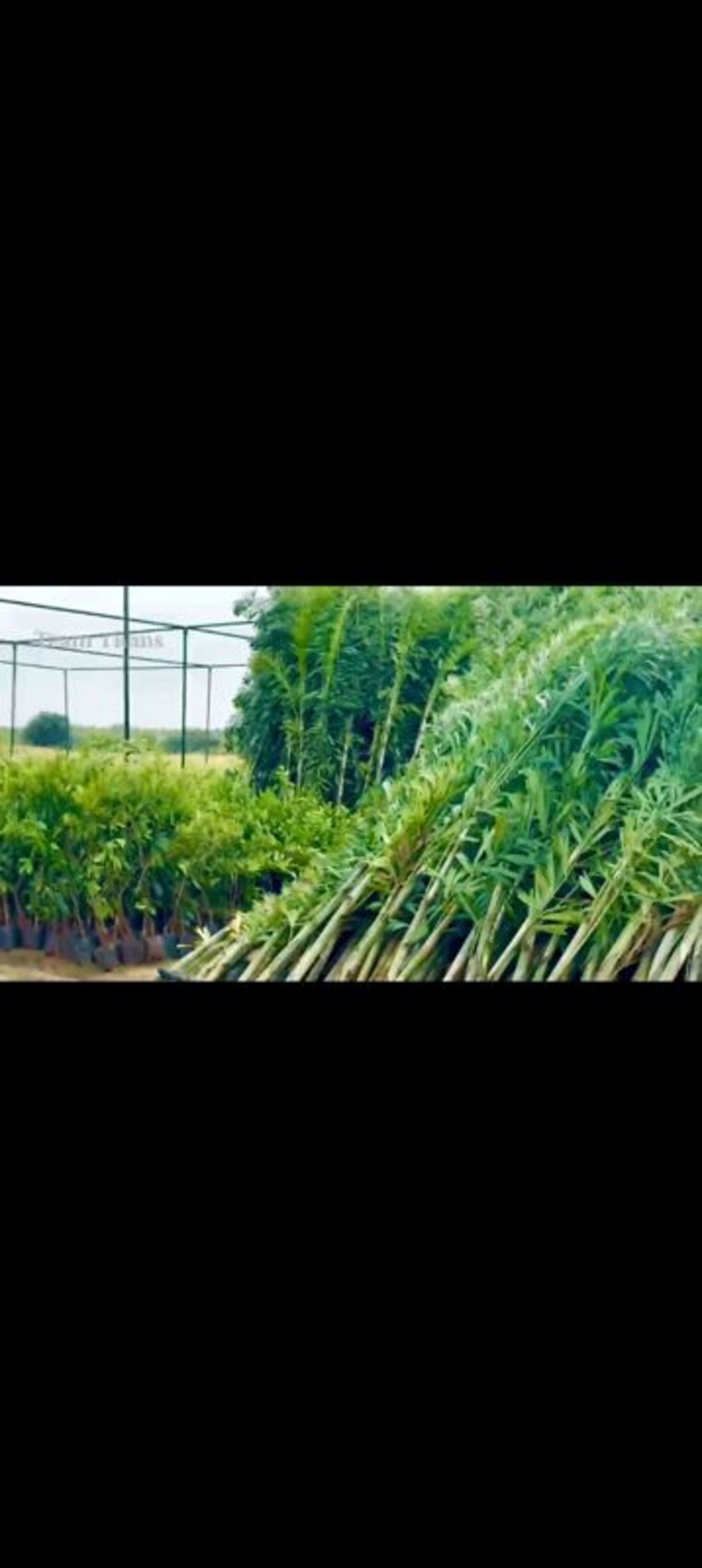 Garden, aduri-golden-heights  200 Sq.Yd. Plot In Shadnagar Hyderabad 9794485