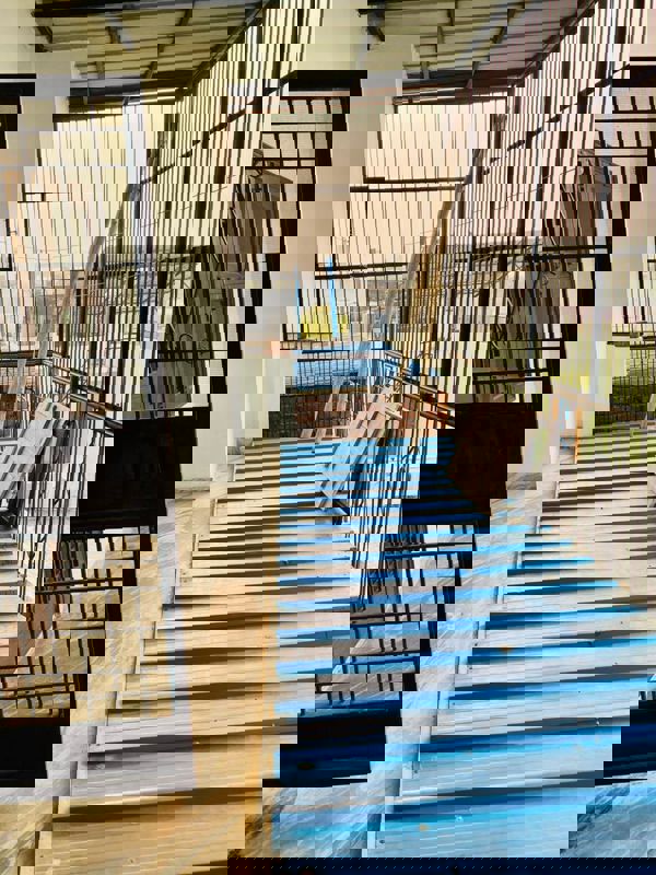 2 BHK + Study Room 1950 Sq.Ft. Builder Floor in Shri Vinayaka Beta Plaza