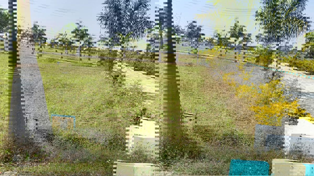 Plot For Sale in Kolar