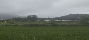 Plot Area in  Land at Igatpuri – for Sale