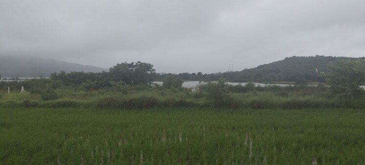 undefined, igatpuri Commercial Land 2 Acre In Igatpuri Nashik 9795200