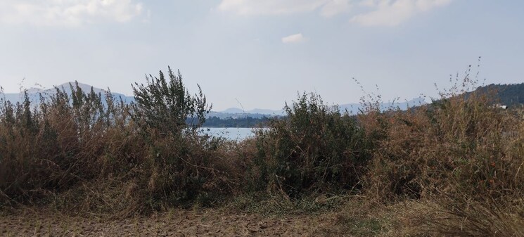 undefined, igatpuri Commercial Land 2 Acre In Igatpuri Nashik 9795200