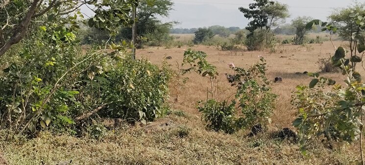 undefined, igatpuri Commercial Land 21500 Sq.Ft. In Igatpuri Nashik 9795244