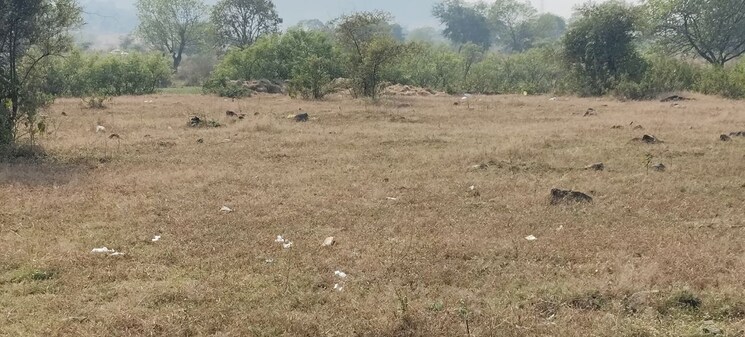 undefined, igatpuri Commercial Land 21500 Sq.Ft. In Igatpuri Nashik 9795244