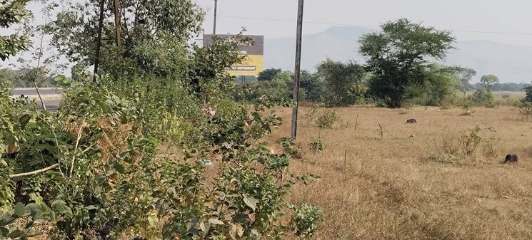 undefined, igatpuri Commercial Land 21500 Sq.Ft. In Igatpuri Nashik 9795244