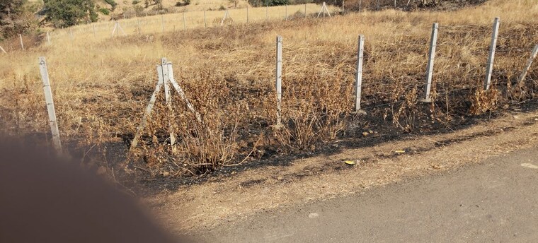 undefined, igatpuri  6000 Sq.Ft. Plot In Igatpuri Nashik 9795283