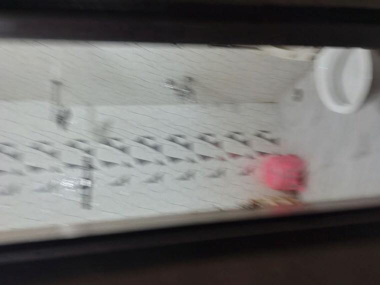 Bedroom, huda-market 1 Bedroom 285 Sq.Ft. Builder Floor In Sector 31 Gurgaon 9795508