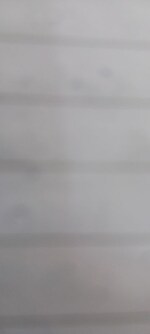 3 BHK 1670 Sq.Ft. Apartment in Janachaitanya Colony