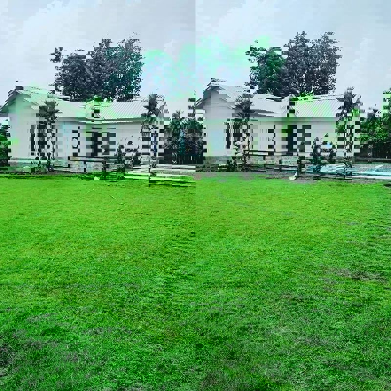 Plot For Sale in Sector 135