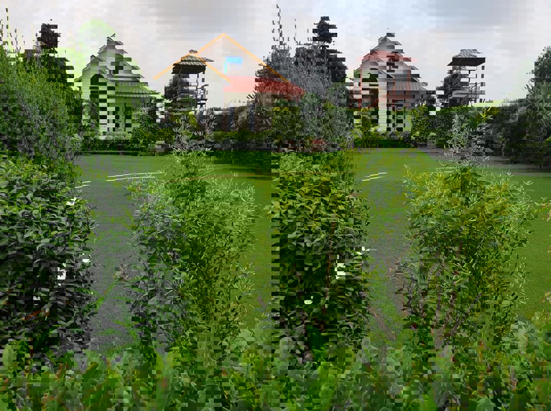 Plot For Sale in Sector 135