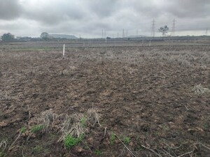  Plot For Sale in Saroor Nagar