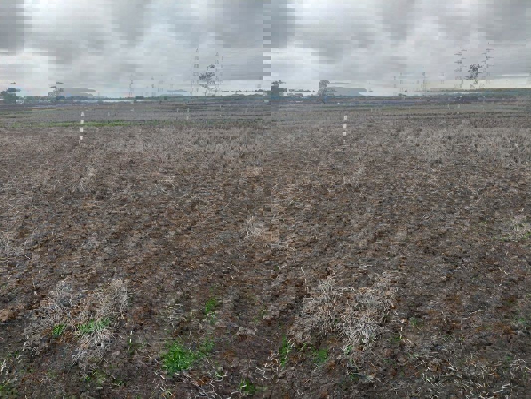 Plot For Sale in Saroor Nagar