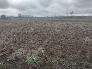  Plot For Sale in Saroor Nagar