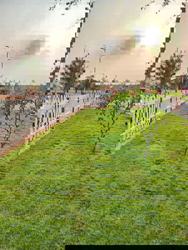 Plot For Sale in Chikkaballapur