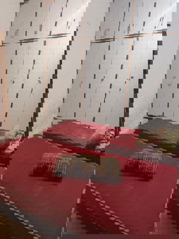 3 BHK Builder Floor For Rent in Sector 23