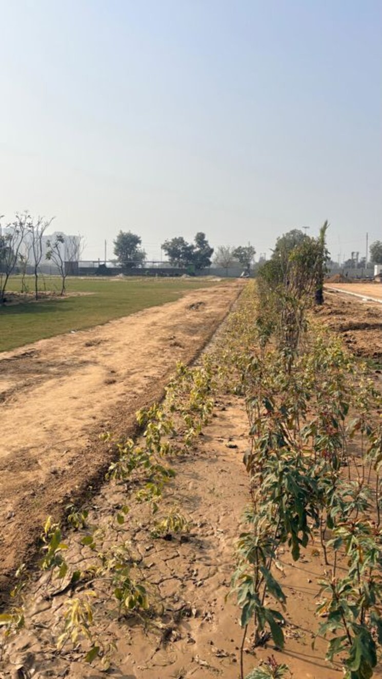 undefined, sector 98  200 Sq.Yd. Plot In Sector 98 Faridabad 9796836